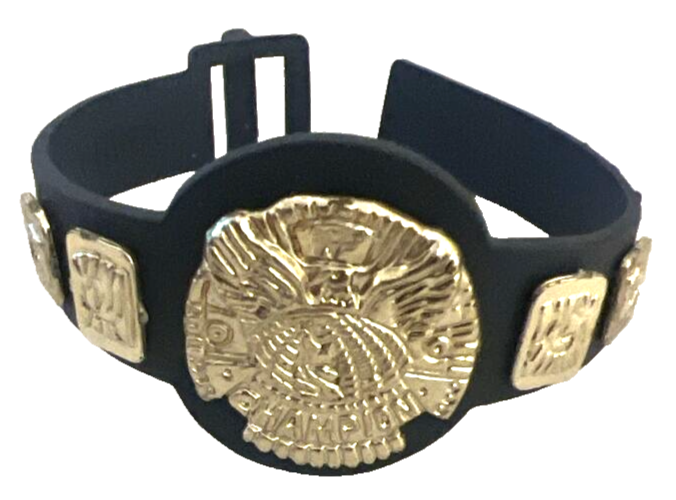 WWE Action Figure Championship Belt Jakks Belt eBay