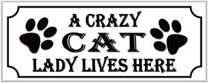 Crazy Cat Lady Sticker Funny Cat Lover Decals Outdoor Vinyl 2 pack 6"  WS336 