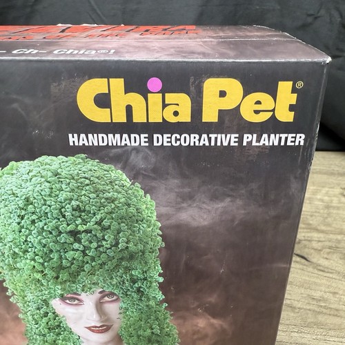 ELVIRA Mistress of the Dark Chia Pet Decorative Pottery Planter NEW in BOX - Picture 2 of 5