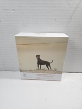 Htcuto GT1 2 In 1 Wireless 2 Dog Fence System Training Shock Collar Waterproof