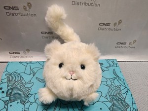 Kitten Caboodle | eBay