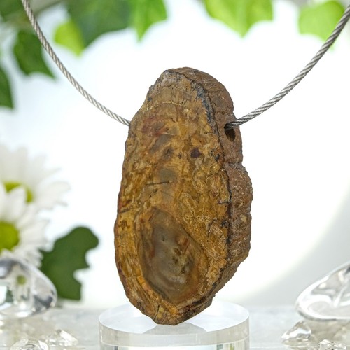 Versteinertes Holz Anhänger Astscheibe gebohrt Araucariaceae 48 mm 16,7 g