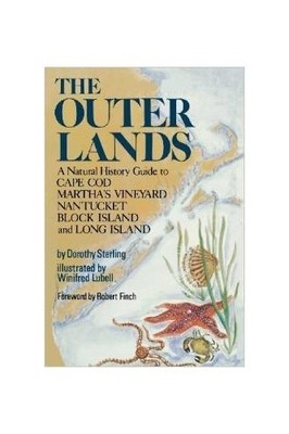 Outer Lands - GOOD