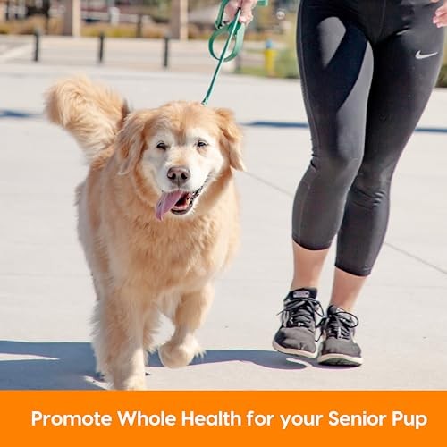 ARK NATURALS Gray Muzzle Old Dogs! Happy Joints! Vet Recommended to Support - Picture 4 of 8