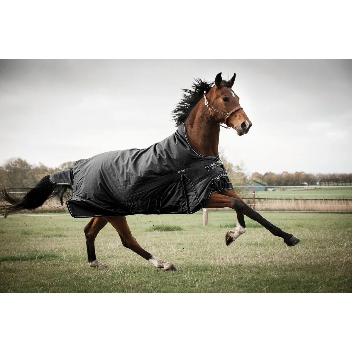 CATAGO Endurance 1680D Couverture Extérieur pour Chevaux, 0g