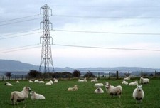 Photo 6x4 Pasture and Pylons Drum/NO0400 Looking SE over farmland at Gel c2006