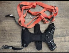 dog harnesses small and large