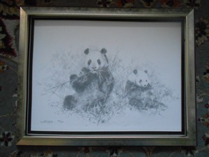pandas