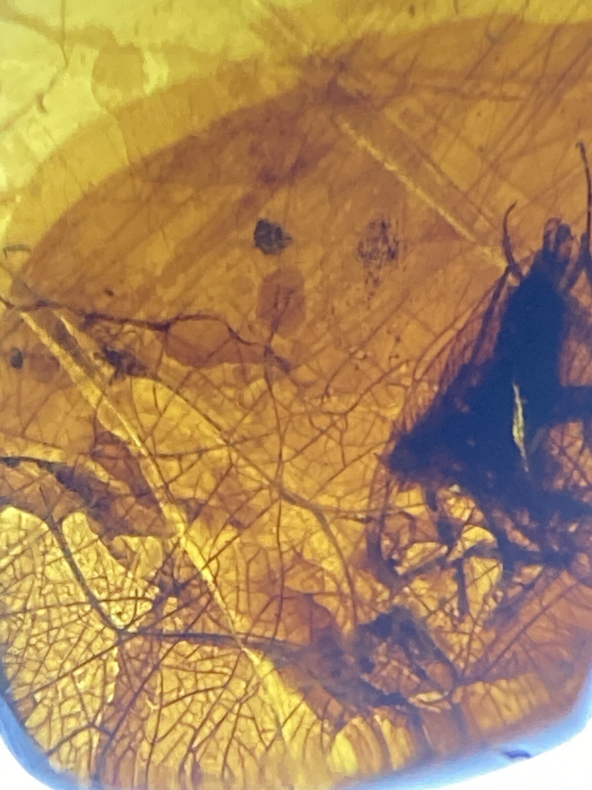 Picture 6 of 8