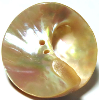 VINTAGE 1940'S 1960'S ITALIAN DESIGN TRADE BUTTON BEAUTIFULLY HUED NATURAL SHELL