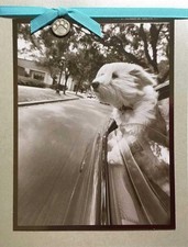 *¡Las cosas simples hacen la vida buena!* TARJETA DE CUMPLEAÑOS DE PAPIRO Perro con cabeza por ventana de coche