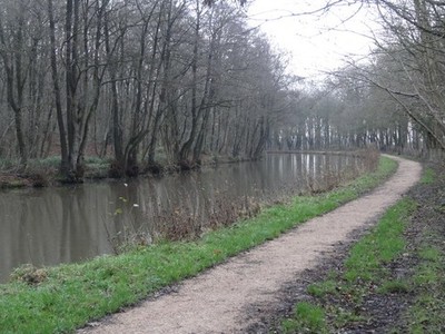 Photo A2 Birmingham and Worcester Canal beside Tunnel Wood Cobley Hill  c2015