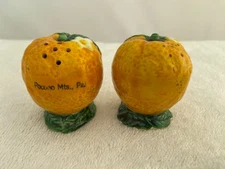 Vintage Souvenir Maruhon Ware Figural Orange Salt & Pepper Shakers Pocono Mts PA