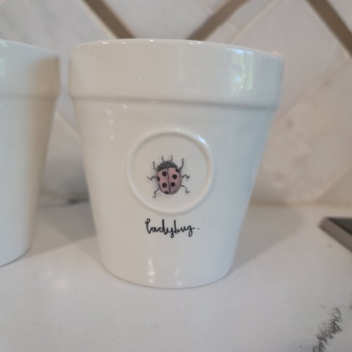 3 vasi e vassoi per piante di insetti in ceramica bianca coccinella d'ape Rae Dunn Magenta - Foto 10 di 12