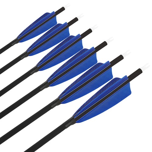 28" 30" 31" Carbon Arrows SP500 Feathers Screw Tips Recurve Compound Bow Hunting - Picture 26 of 36