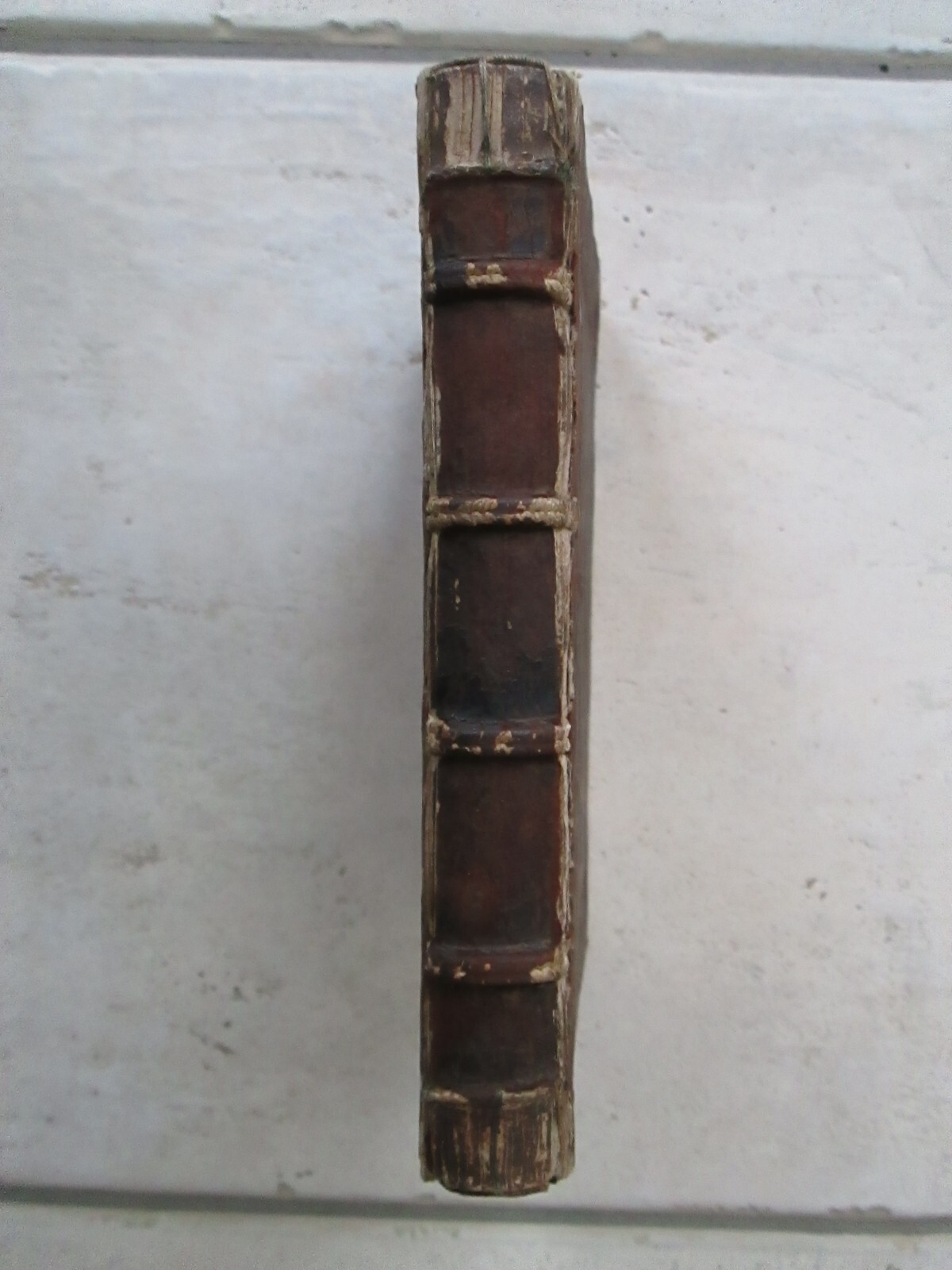 Picture 20 of 20