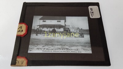 MYL Glass Magic Lantern Slide Photo A33 70 FT OF WILLOW ROOTS IN DRAIN TILE