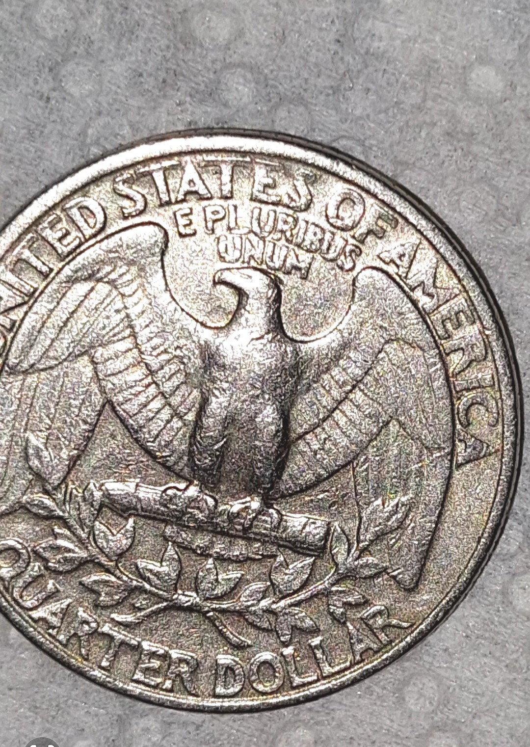 Picture 7 of 13