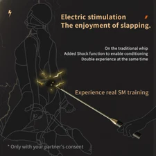 Spanking Flogger Paddle Cosplay Game Riding Crop Whip Bondage Electric Rod BDSM