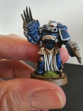 WARHAMMER 40K SPACEMARINE STERNGUARD L/C PROFESSIONALLY PAINTED METAL MINIATURE