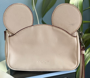 Disney Coach | eBay