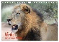 "Calendar 2027 · US Version · Africa. Animals In The Wild (Wall Calendar 2027 12\""