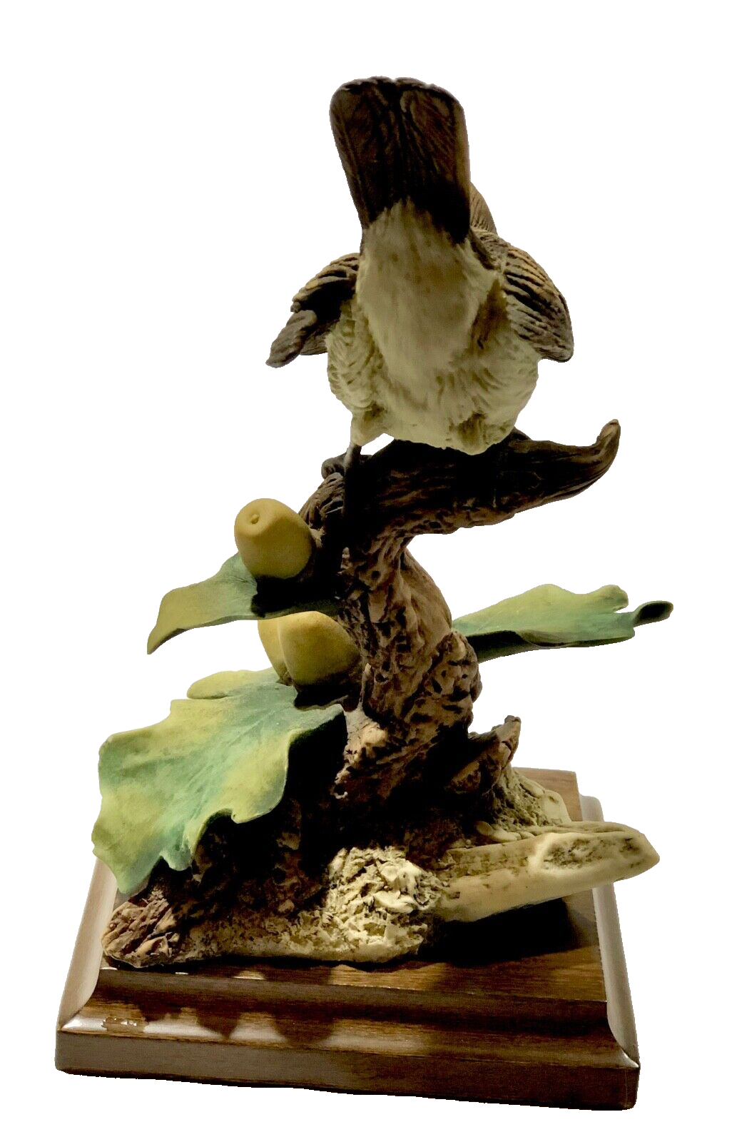 Picture 7 of 12
