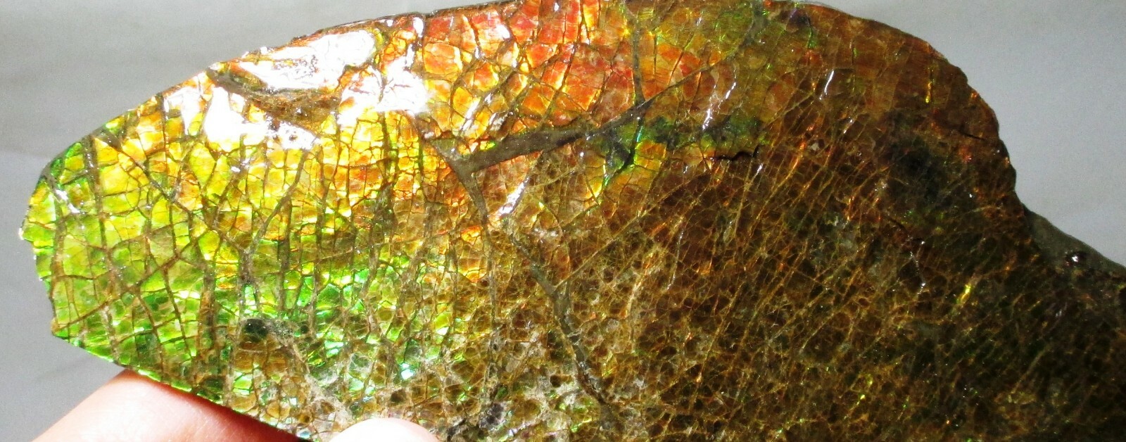 Picture 5 of 9