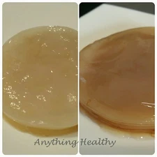 Combo Honey Jun and Kombucha SCOBYs w/starter Probiotic Healthy Fermented drink