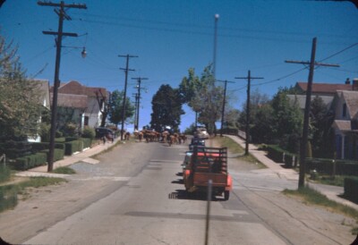 1948 Cattle Walking Thru Neighborhood Grass Valley CA Vtg 35mm Red Border Slide
