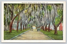 Postcard Biloxi Mississippi Beautiful Benachi Avenue