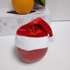 Bild 9 von 12