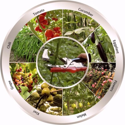 Lametta Per Pinza Legatrice - Ricambio Per Legacci Piante Da Orto E Giardino - Foto 3