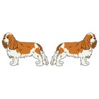 Cavalier King Charles Spaniel Dog Decal Dog Lover Decor Vinyl Sticker