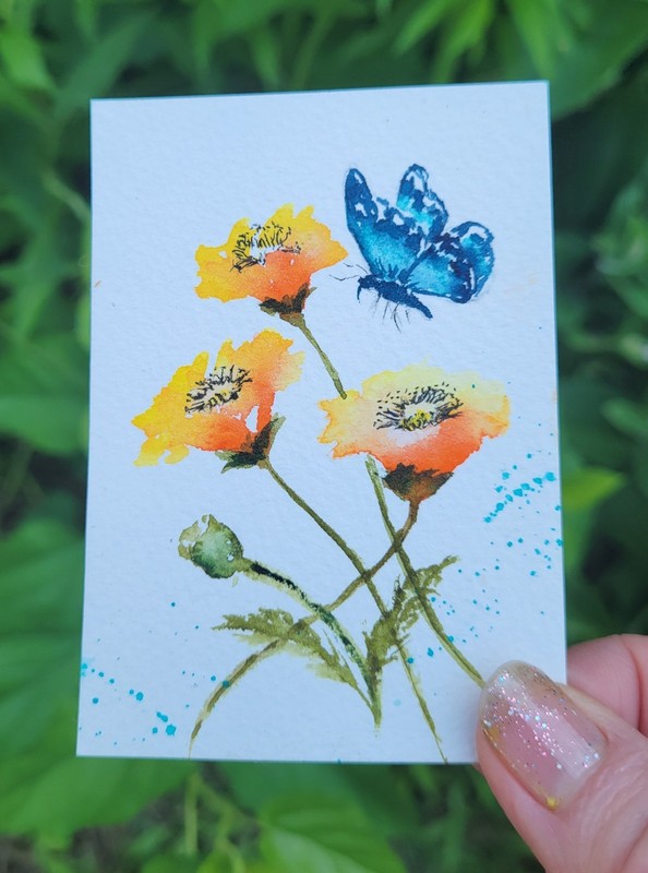 ACEO by Diane Bentley  Watercolor Flowers Poppies Blue Butterfly  Series  2