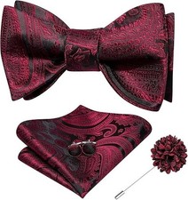 Mens Black Burgundy Bow Ties Paisley Self Tie Bowtie and Lapel Pin for Men Ha...