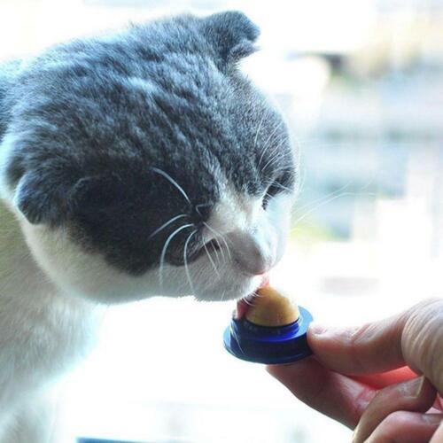 10/20/30x Cat Snacks Catnip Sugar Candy / Lick Nutrition Energy Ball Desund✨ - Picture 7 of 15