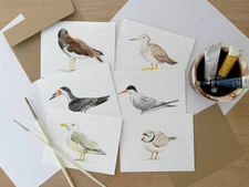 Blank Cards with Envelopes Set of 6, Coastal Birds Watercolor Illustration A2
