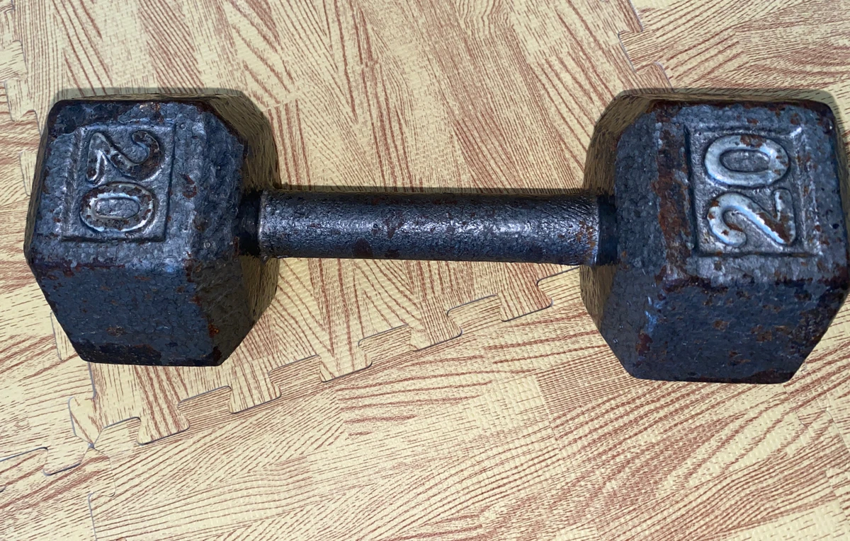 Dumbbells 20 pounds sale