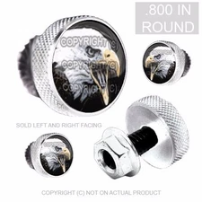 4 Silver Billet 6061 Knurled License Plate Frame Fastener Tag Bolts USA EAGLE