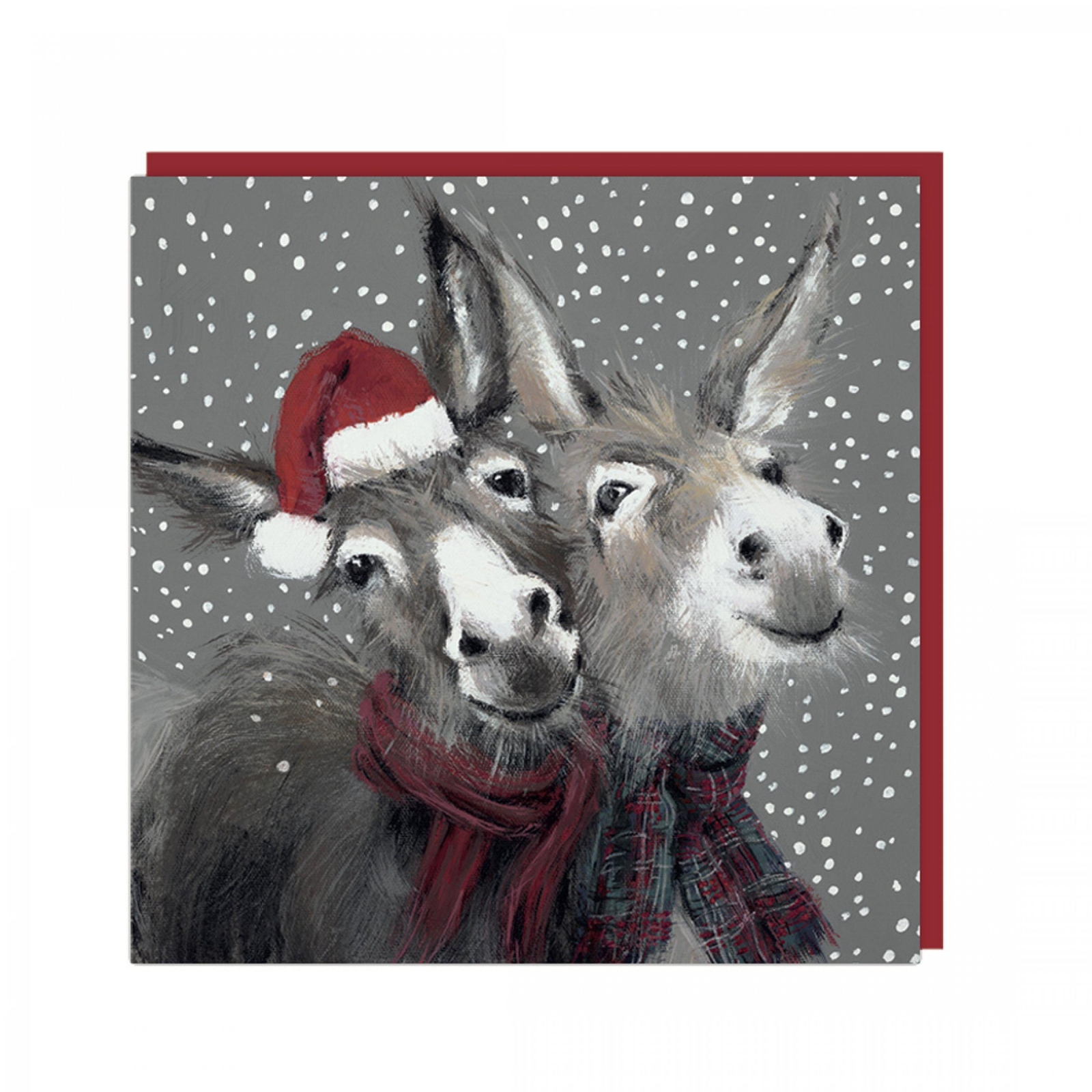 Charity Christmas Card Pack - 6 Cards - Donkey Friends - Shelter NEW