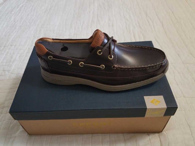 sperry gold cup asv amaretto