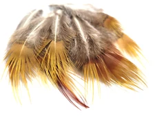PHEASANT TAIL FEATHERS - GOLDEN/ RED - TAILS - 12 pc. - Fly Tying Materials