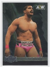 2022 SkyBox Metal Universe AEW Base Anthony Bowens #24