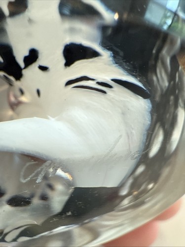 MCM Studio Art Glass Paperweight Black White, & Gold Flakes Signed R. L Kuntz 🔥 - Picture 8 of 13