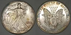 1994 American Silver Eagle 1 ounce 0.999 fine Toned