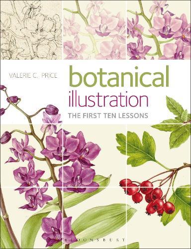 Thumbnail - Valerie Price Botanical Illustration (taschenbuch)