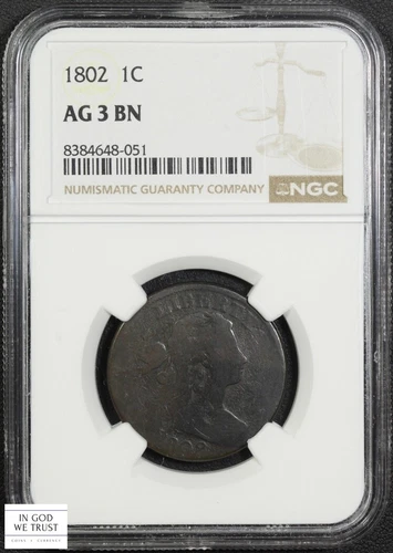 1802 Draped Bust Copper Large Cent 1C NGC AG 03 BN