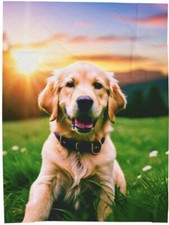 BIG Golden Retriever Velveteen Plush Blanket