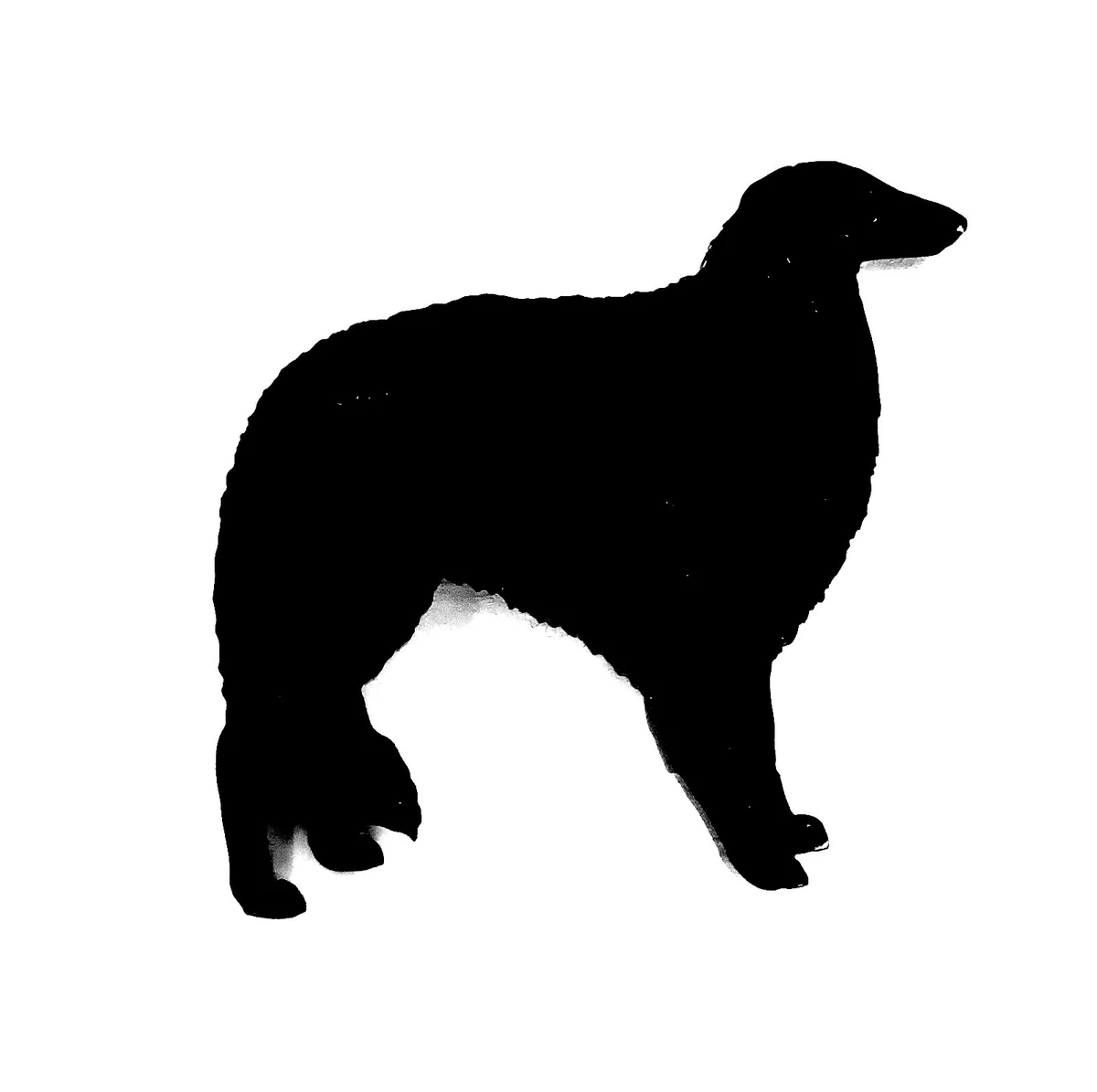 Black russian cheap wolfhound